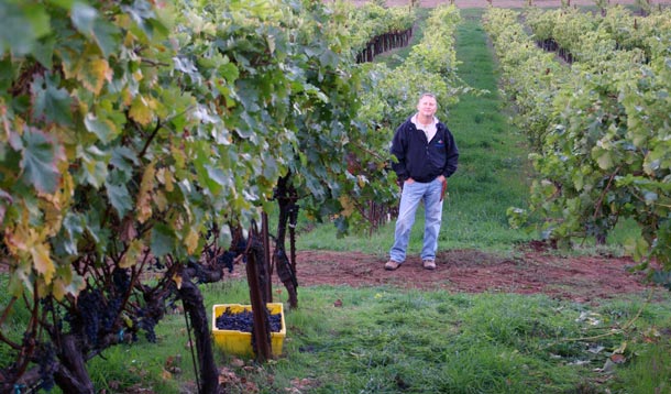 Linked Vineyards